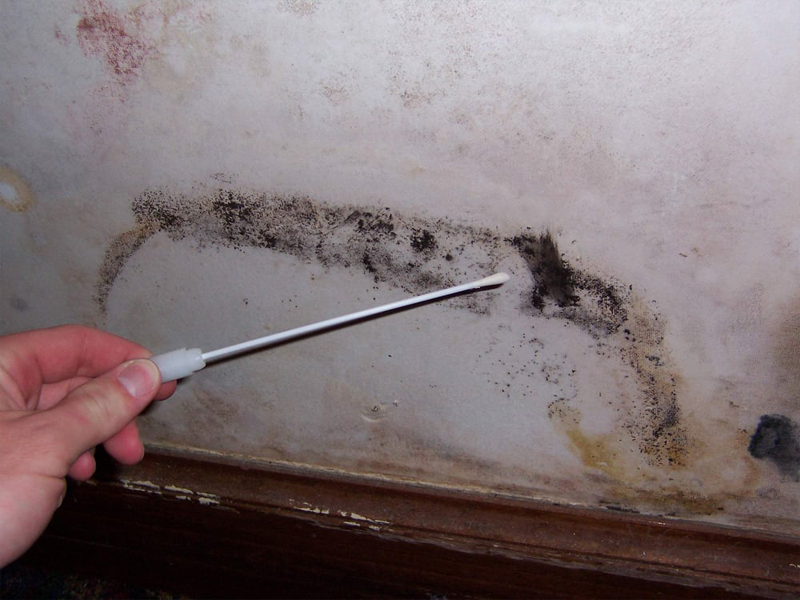 Mold-Inspections-&-Testing-1